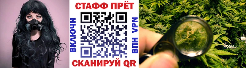 Виды наркоты Лесной Альфа ПВП  Гашиш  гидра ССЫЛКА  COCAIN  Канабис 