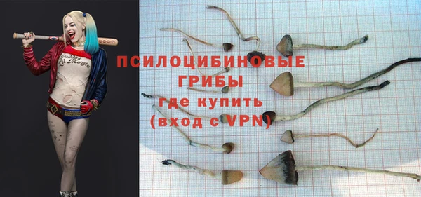 прущие крисы Алексин