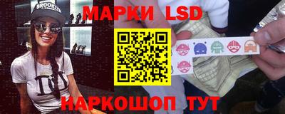 шишки Кимры