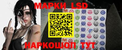 шишки Кимры