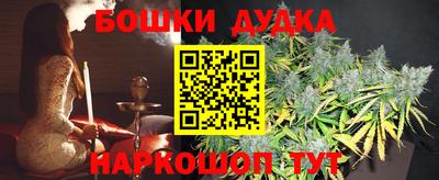 шишки Кимры
