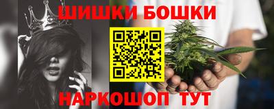 шишки Кимры