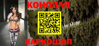 шишки Кимры