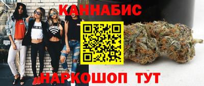 шишки Кимры