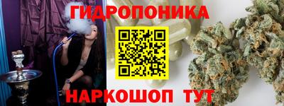 шишки Кимры
