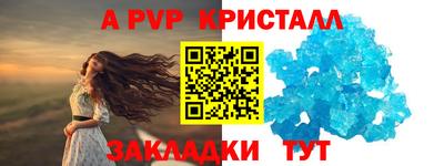 шишки Кимры