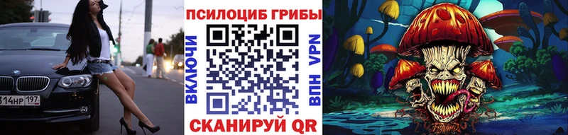Псилоцибиновые грибы мицелий Лесной