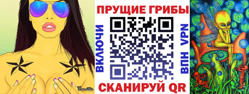 кракен как войти  Лесной  Галлюциногенные грибы Magic Shrooms 