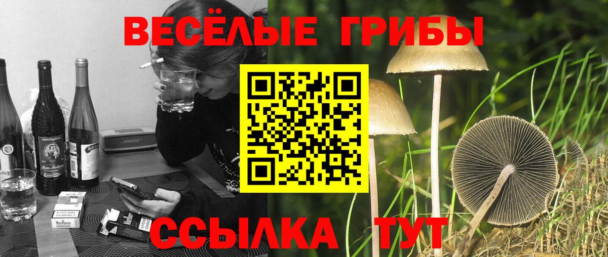 Галлюциногенные грибы мухоморы Лесной