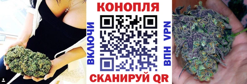 Бошки марихуана конопля  МЕГА tor  Лесной 